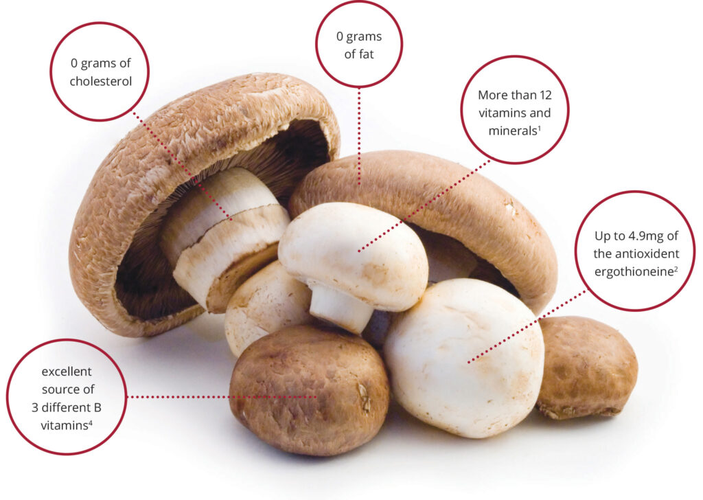 The Nutritional Powerhouse: Exploring the Nutrition Facts and Health Benefits of Mushrooms